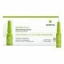 Fiale FACTOR G RENEW Sesderma (7 pcs) | Epamu | Beauty Shop - Parfums, Make-up & Essentials Epamu.eu