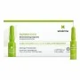 Ampoules FACTOR G RENEW Sesderma (7 pcs) | Epamu | Beauty Shop - Parfums, Make-up & Essentials Epamu.eu