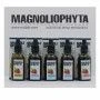 Aceite Facial Magnoliophytha Aceite De Rosa Mosqueta 30 ml 50 ml | Epamu | Beauty Shop - Parfums, Make-up & Essentials Epamu.eu