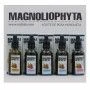 Óleo Facial Magnoliophytha Aceite De Rosa Mosqueta 30 ml 50 ml | Epamu | Beauty Shop - Parfums, Make-up & Essentials Epamu.eu