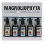 Facial Oil Magnoliophytha Aceite De Rosa Mosqueta 30 ml 50 ml | Epamu.eu | Beauty Shop - Parfums, Make-up & Essentials Epamu.eu