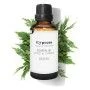 Essential oil Cypress Daffoil Daffoil 100 ml | Epamu.eu | Beauty Shop - Parfums, Make-up & Essentials Epamu.eu