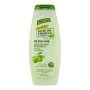 Champú Palmer's Olive Oil (400 ml) | Epamu | Beauty Shop - Parfums, Make-up & Essentials Epamu.eu