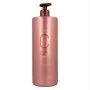 Champô Color Care Risfort 69873 (1000 ml) | Epamu | Beauty Shop - Parfums, Make-up & Essentials Epamu.eu