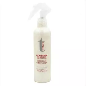 Auffüllbare Sprühflasche Schwarz Durchsichtig Kunststoff 500 ml (12 Stück) | Epamu | Beauty Shop - Parfums, Make-up & Essentials Epamu.eu