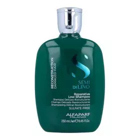 Shampoo Riparatore Absolut Repair L'Oreal Professionnel Paris Expert Absolut (300 ml) | Epamu.eu | Beauty Shop - Parfums, Make-up & Essentials Epamu.eu