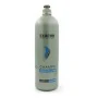 Shampoo Antiforfora Exitenn 1 L | Epamu | Beauty Shop - Parfums, Make-up & Essentials Epamu.eu