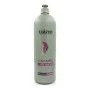 Shampoo per Dare Volume Exitenn | Epamu | Beauty Shop - Parfums, Make-up & Essentials Epamu.eu