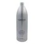 Shampoo for Blonde or Graying Hair Amethyste Silver Farmavita | Epamu | Beauty Shop - Parfums, Make-up & Essentials Epamu.eu