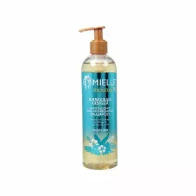 Shampoo Alkemilla 250 ml | Epamu | Beauty Shop - Parfums, Make-up & Essentials Epamu.eu