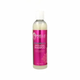 Condicionador Bumble & Bumble U-HC-9866 | Epamu | Beauty Shop - Parfums, Make-up & Essentials Epamu.eu