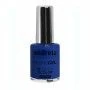 nail polish Andreia Hybrid Fusion H45 (10,5 ml) | Epamu | Beauty Shop - Parfums, Make-up & Essentials Epamu.eu