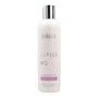 Shampoo Exitenn Exiplex Nº3 250 ml | Epamu | Beauty Shop - Parfums, Make-up & Essentials Epamu.eu