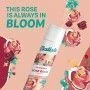 Dry Shampoo Batiste Rose Gold 350 ml | Epamu.eu | Beauty Shop - Parfums, Make-up & Essentials Epamu.eu